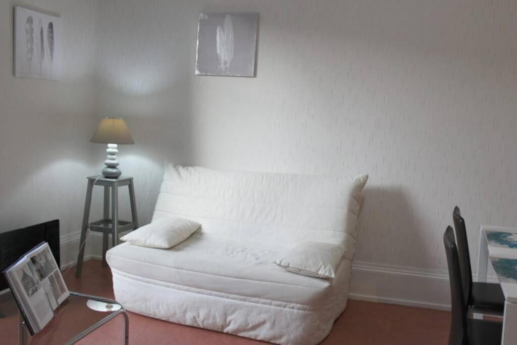 Appartement Le Volcan Au Wifi 42m2 Face Au Parc *